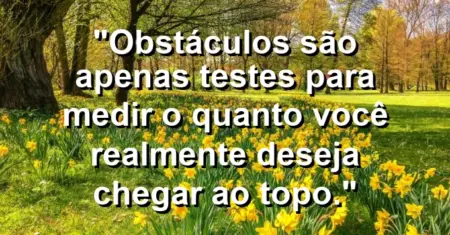 “Obstáculos são apenas testes para medir o quanto você realmente deseja chegar ao topo.”