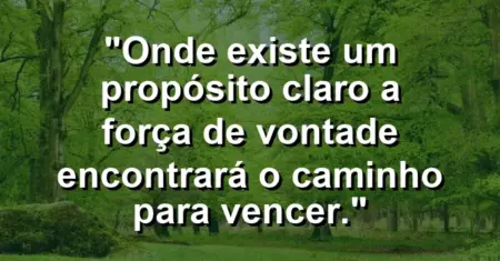 “Onde existe um propósito claro a força de vontade encontrará o caminho para vencer.”