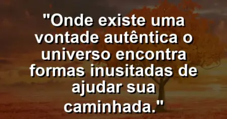 “Onde existe uma vontade autêntica o universo encontra formas inusitadas de ajudar sua caminhada.”
