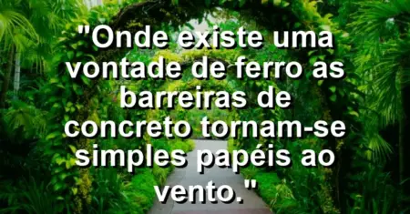 “Onde existe uma vontade de ferro as barreiras de concreto tornam-se simples papéis ao vento.”