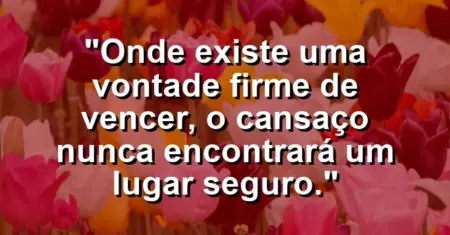 “Onde existe uma vontade firme de vencer, o cansaço nunca encontrará um lugar seguro.”