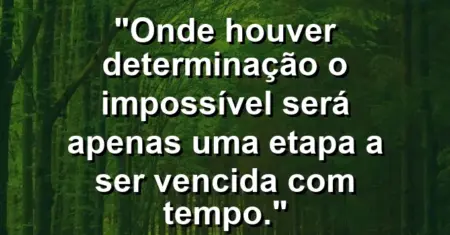“Onde houver determinação o impossível será apenas uma etapa a ser vencida com tempo.”
