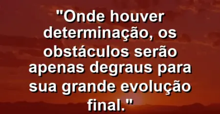“Onde houver determinação, os obstáculos serão apenas degraus para sua grande evolução final.”