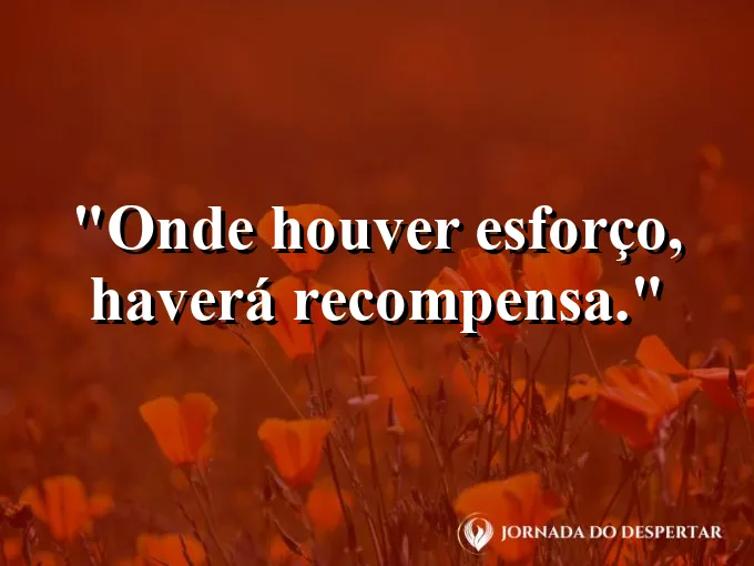 Campo sendo arado com precisão sob a luz do amanhecer.