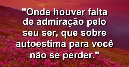 Onde houver falta de admiração pelo seu ser, que sobre autoestima para você não se perder.