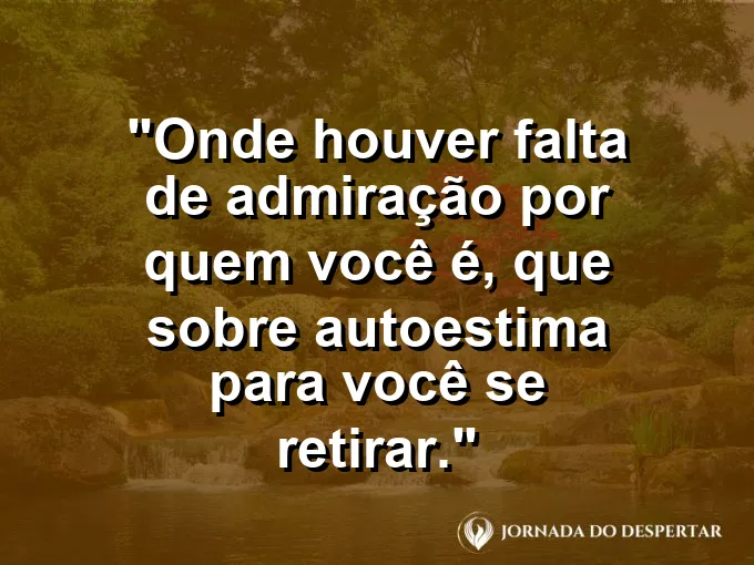 Um pássaro levantando voo de um galho seco em direção ao sol.