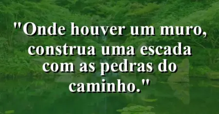 Onde houver um muro, construa uma escada com as pedras do caminho.