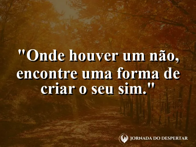 Planta crescendo através de uma rachadura no asfalto quente.