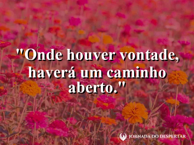 Estrada de asfalto cortando montanhas rochosas e altas.