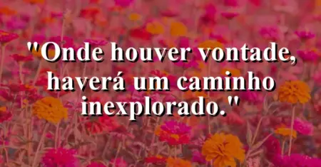 Onde houver vontade, haverá um caminho inexplorado.