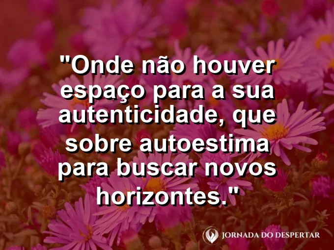 Pássaro voando de uma janela fechada para um céu aberto e azul.