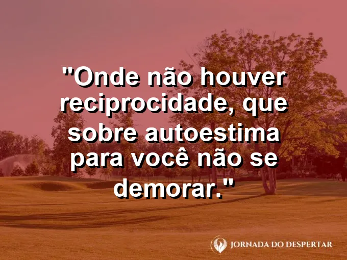 Pássaros voando de uma árvore seca em direção a uma floresta verde.