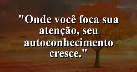 Onde você foca sua atenção, seu autoconhecimento cresce.