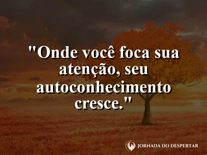 Lente de aumento focando em um pequeno detalhe da natureza.