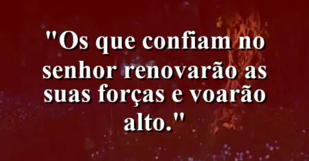 “Os que confiam no Senhor renovarão as suas forças e voarão alto.”