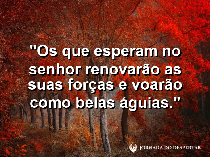 Águia voando alto entre nuvens brancas com mensagem bíblica de renovação.