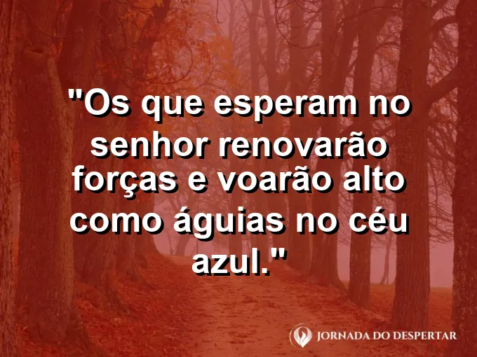 Águia voando alto entre as nuvens com mensagem bíblica sobre renovação e força para subir.