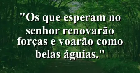 “Os que esperam no Senhor renovarão forças e voarão como belas águias.”