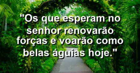 “Os que esperam no Senhor renovarão forças e voarão como belas águias hoje.”