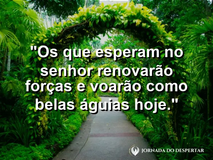 Águia voando majestosamente acima das montanhas com frase sobre a renovação das forças no Senhor.