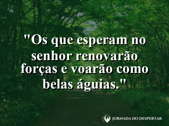 Águia voando majestosamente acima das montanhas com frase sobre a renovação das forças no Senhor Deus.