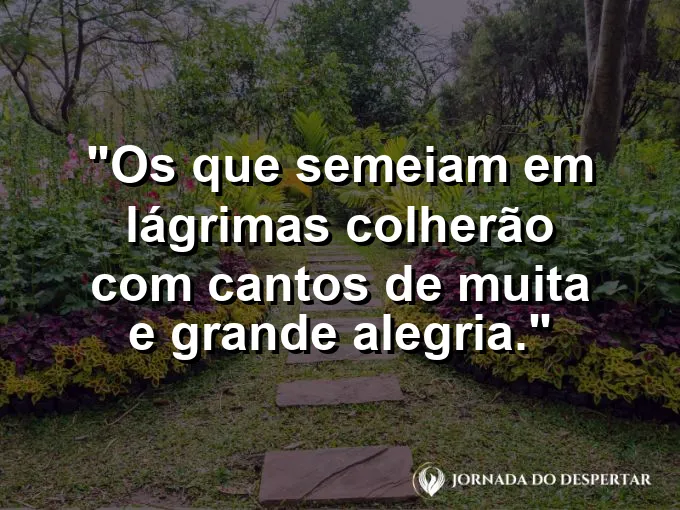 Planta brotando de uma terra seca e rachada com frase sobre semear com lágrimas hoje.