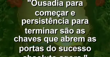 “Ousadia para começar e persistência para terminar são as chaves que abrem as portas do sucesso absoluto agora.”