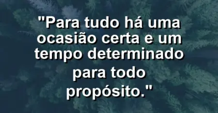 “Para tudo há uma ocasião certa e um tempo determinado para todo propósito.”