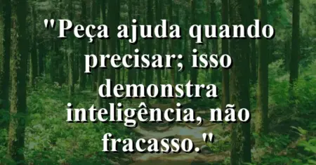“Peça ajuda quando precisar; isso demonstra inteligência, não fracasso.”