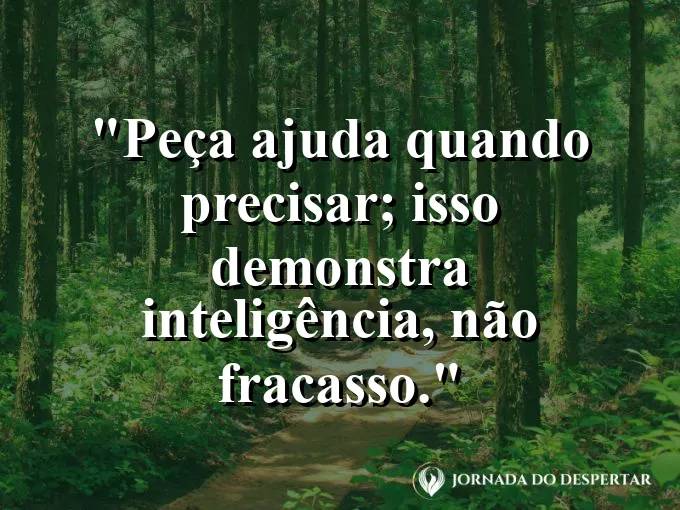 Frase sobre colaboração: Peça ajuda quando precisar; isso demonstra inteligência, não fracasso.