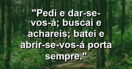 “Pedi e dar-se-vos-á; buscai e achareis; batei e abrir-se-vos-á porta sempre.”