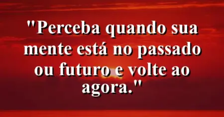 “Perceba quando sua mente está no passado ou futuro e volte ao agora.”