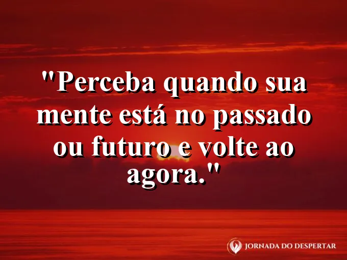 Frase sobre presente: Perceba quando sua mente está no passado ou futuro e volte ao agora.