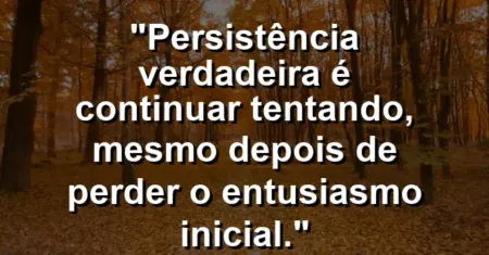 “Persistência verdadeira é continuar tentando, mesmo depois de perder o entusiasmo inicial.”