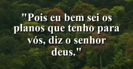 “Pois eu bem sei os planos que tenho para vós, diz o Senhor Deus.”