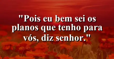 “Pois eu bem sei os planos que tenho para vós, diz Senhor.”