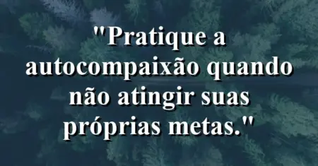 “Pratique a autocompaixão quando não atingir suas próprias metas.”