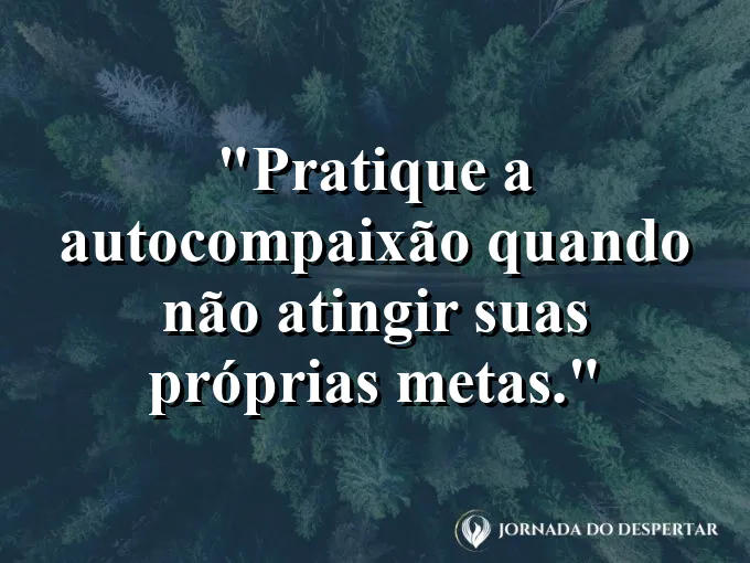 Frase sobre autocompaixão: Pratique a autocompaixão quando não atingir suas próprias metas.