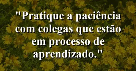 “Pratique a paciência com colegas que estão em processo de aprendizado.”
