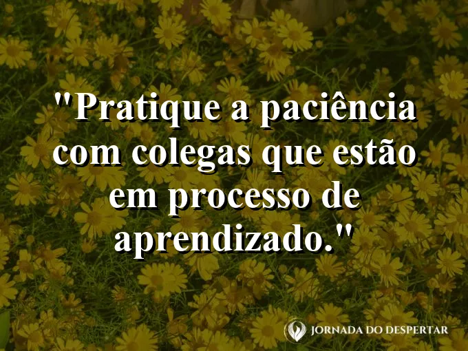 Frase sobre paciência: Pratique a paciência com colegas que estão em processo de aprendizado.