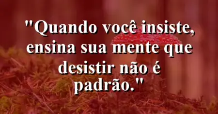 “Quando você insiste, ensina sua mente que desistir não é padrão.”