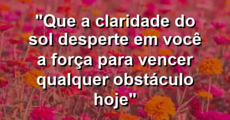 “Que a claridade do sol desperte em você a força para vencer qualquer obstáculo hoje”