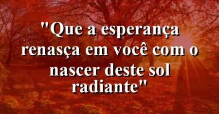 “Que a esperança renasça em você com o nascer deste sol radiante”