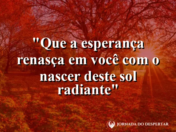 bom-dia-esperanca-renascer-nascer-sol-radiante