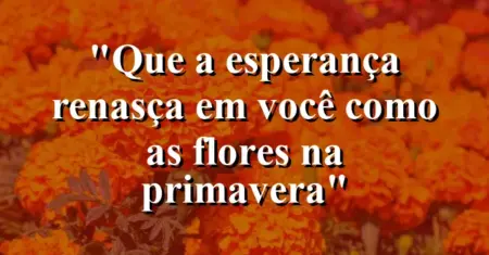 “Que a esperança renasça em você como as flores na primavera”