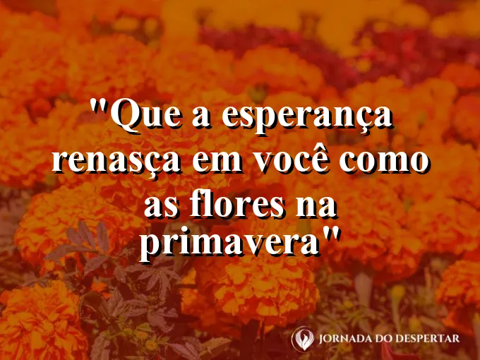 bom-dia-esperanca-renasca-flores-primavera