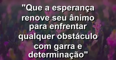 “Que a esperança renove seu ânimo para enfrentar qualquer obstáculo com garra e determinação”