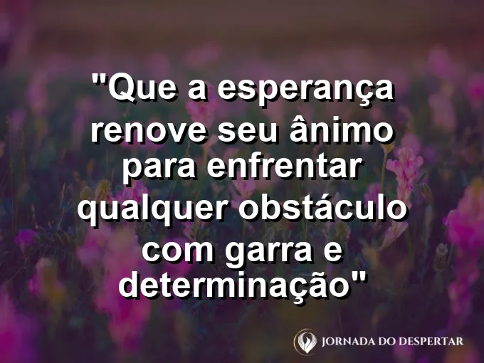 Alpinista observando o horizonte de cima de uma montanha sob os primeiros raios de sol do dia.
