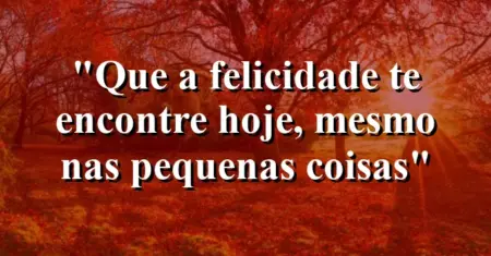 “Que a felicidade te encontre hoje, mesmo nas pequenas coisas”