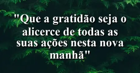 “Que a gratidão seja o alicerce de todas as suas ações nesta nova manhã”